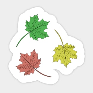 Colored maple leaves. Sticker